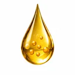 Bilirubin support — aids bilirubin metabolism for healthy liver function