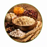 Carbohydrate metabolism — supports carbohydrate breakdown for energy
