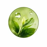 Liver detoxification — removes toxins and supports natural cleansing
