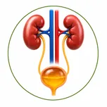 Urinary health — supports healthy urinary function and waste elimination