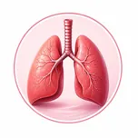 Lung function — maintains healthy lung tissue for optimal function