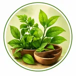 Natural and safe — daily herbal support for long-term wellness